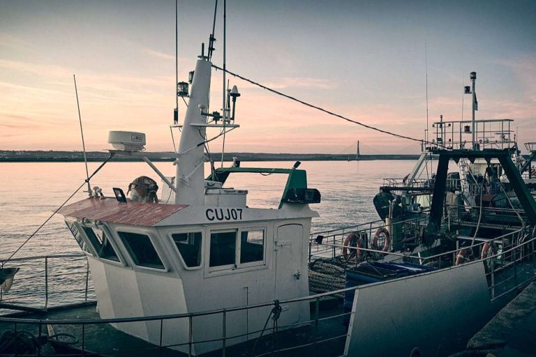 Frescura y calidad en venta de pescados y mariscos online con Lonja de Ayamonte