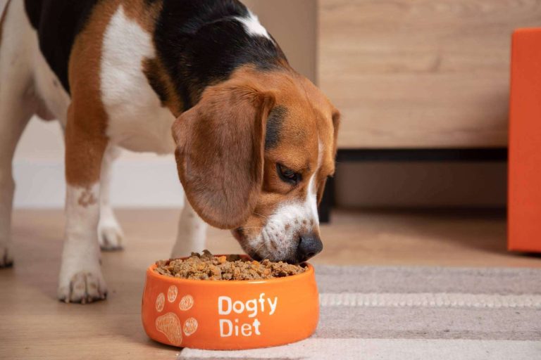 Dogfy Diet ofrece alimentación natural para perros elaborada por expertos