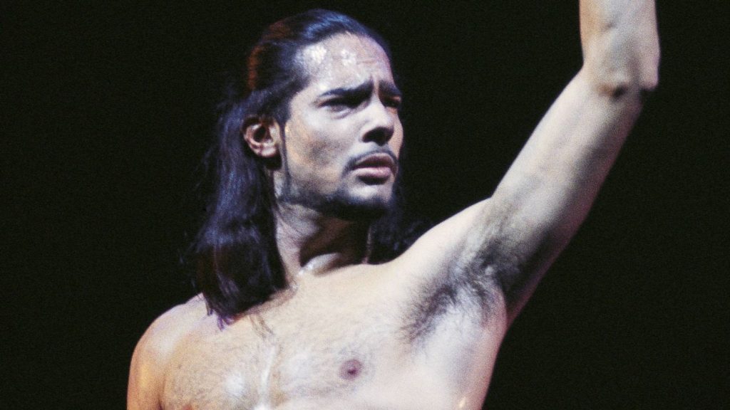 joaquin cortes gipsy passion baile