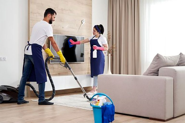 Servicio de limpieza Domestina: Calidad y confianza en un solo clic