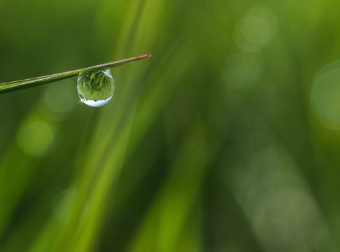 sistemas de riego sistemas de riego