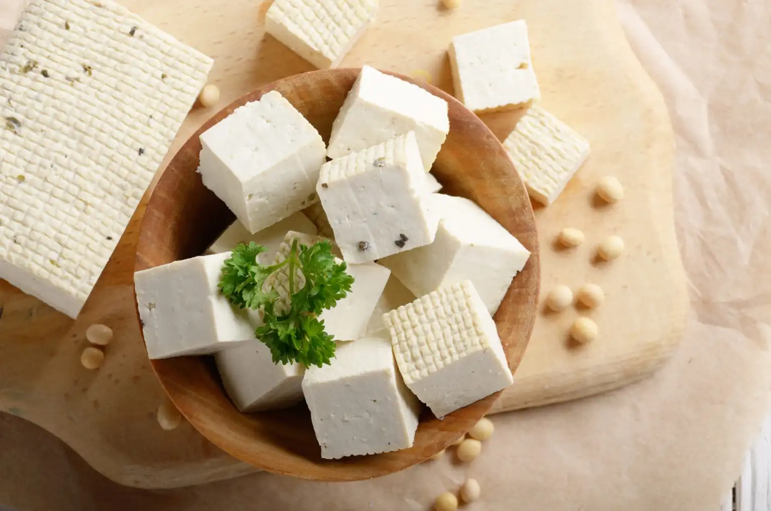 INCLUSIÓN DEL TOFU EN LA DIETA DIARIA