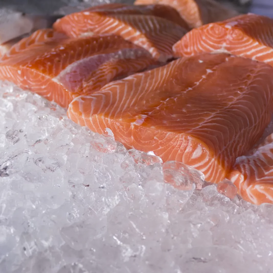 Salmón: un alimento potente, ideal para la salud cardiovascular