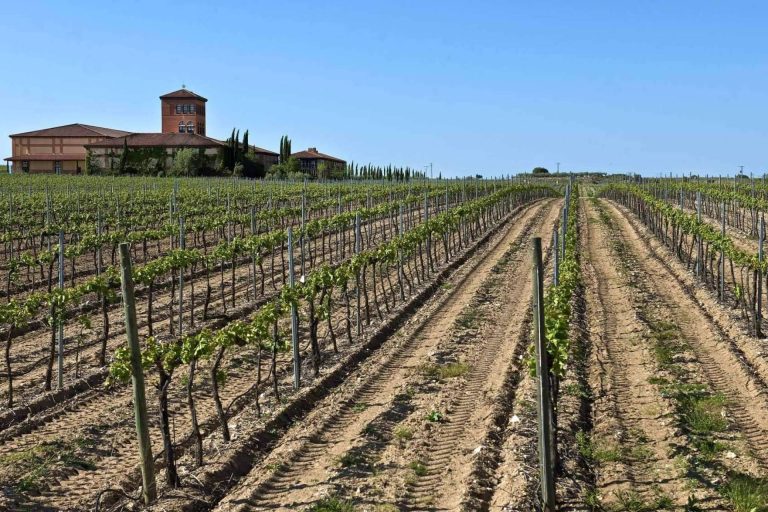 El placer de lo exclusivo. Pack Marqués de la Concordia + D.O. Cava, solo en venta privada