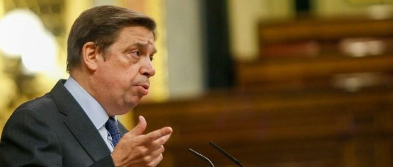 El Gobierno cambia las condiciones de uso de las menciones 'dry' y 'pale dry' en el etiquetado de los vinos