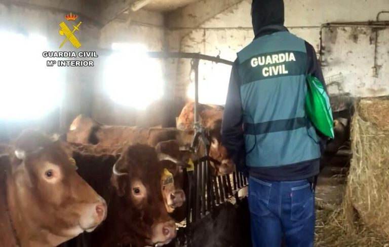 Tres detenidos por originar la enfermedad hemorrágica en el norte del país desde una cabaña de Miera (Cantabria)
