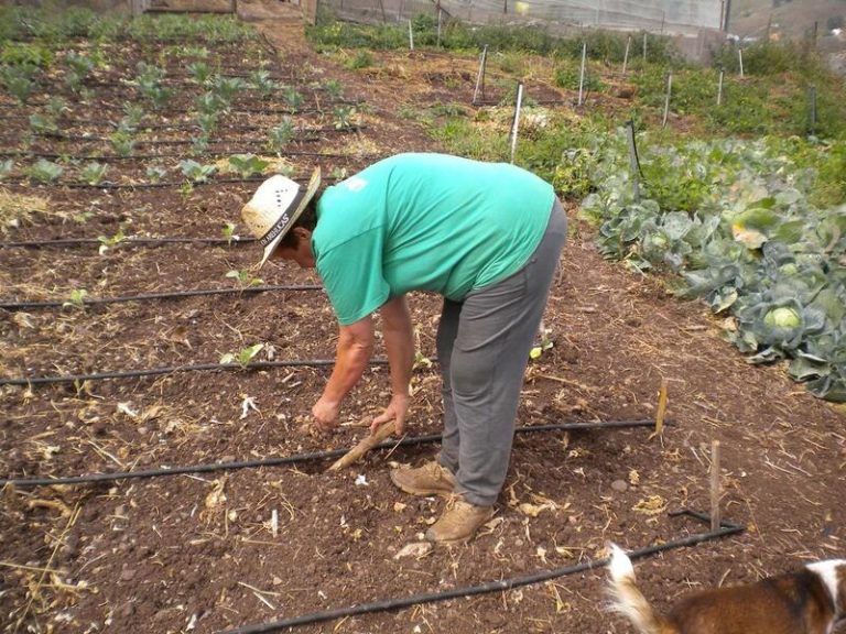 Los Veintisiete respaldan eximir de sanciones y controles ambientales de la PAC a los pequeños agricultores