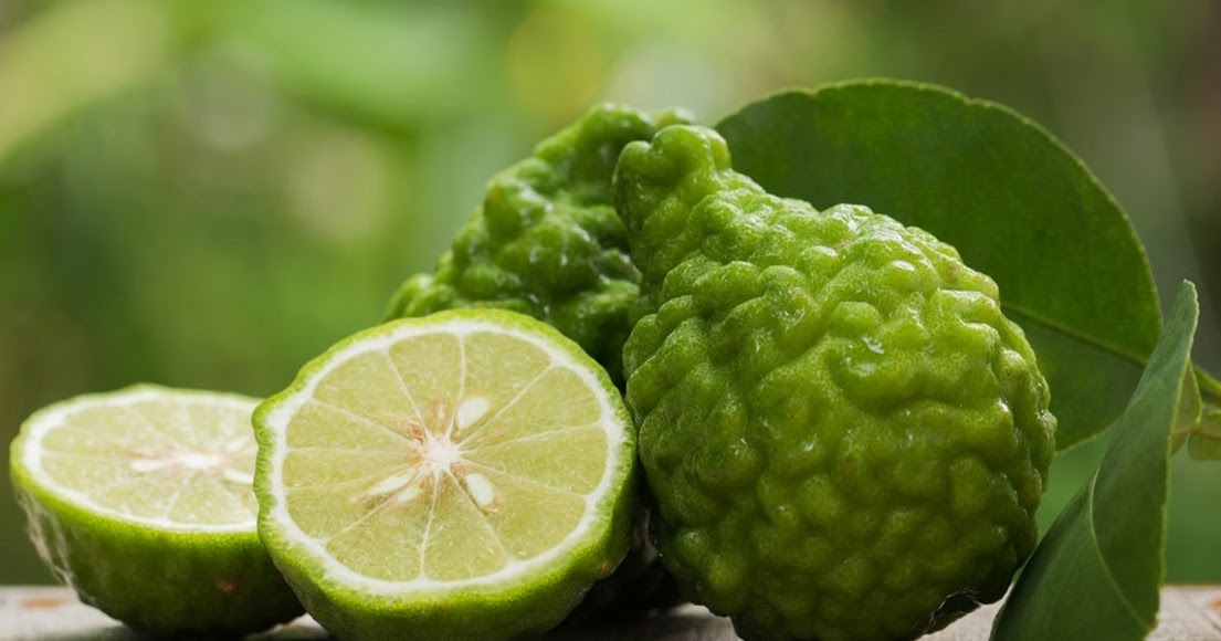 INVESTIGACIÓN Y DESARROLLO FUTURO