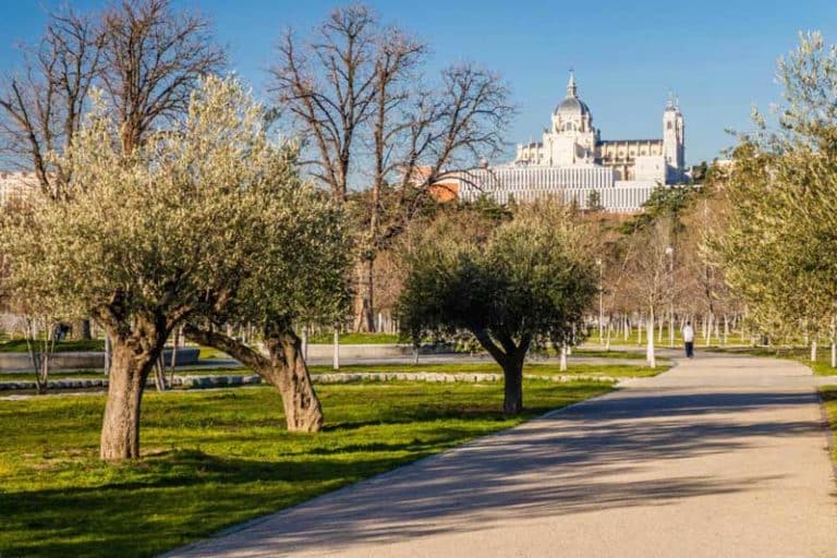Casa de Campo: Una aventura natural en el corazón de Madrid 2 UN ESPACIO PARA TODOS