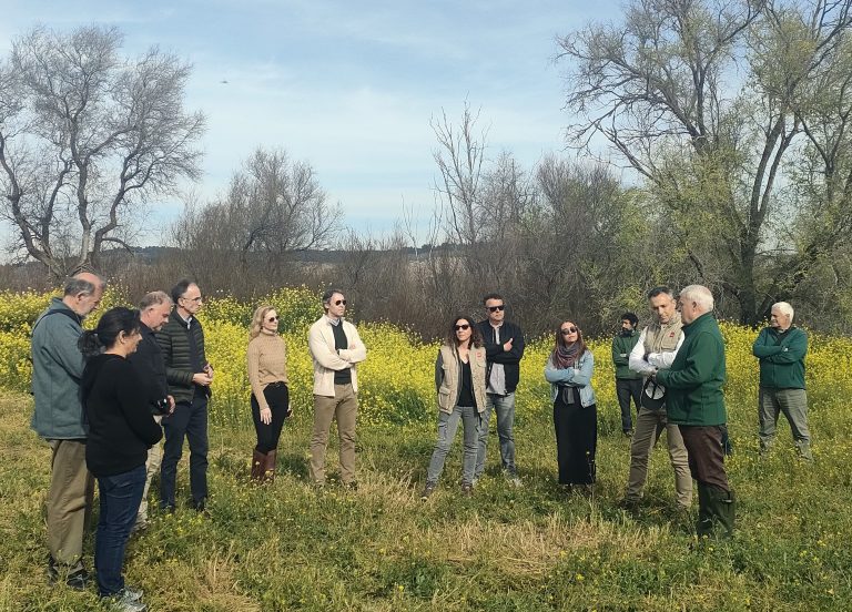 Nueva suelta de Cerceta Pardilla en El Porcal, humedal protegido de Madrid, propiedad de Cementos Portland