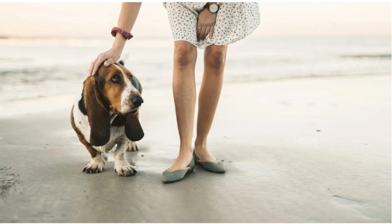 Los zapatos planos de Marypaz de 8 euros son pura comodidad