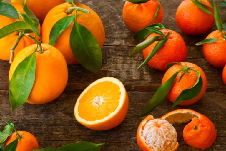 Naranja vs mandarina: qué es mejor para adelgazar y para tu salud