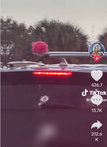 Hay coches aparcados en la calle con esponjas en el techo, pero tiene una explicación