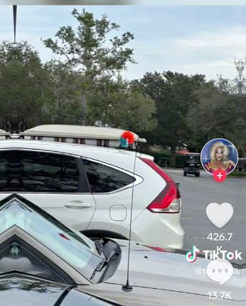 Hay coches aparcados en la calle con esponjas en el techo, pero tiene una explicación