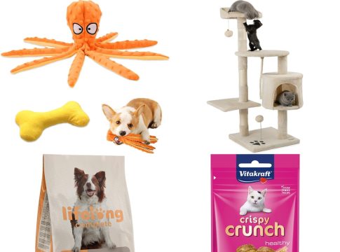 Amazon comida juguetes mascotas Amazon comida juguetes mascotas