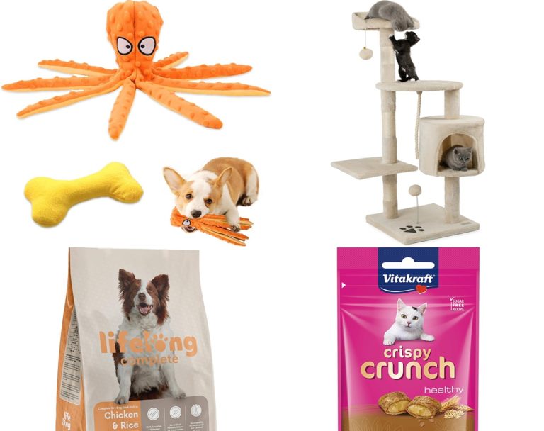 Amazon cuida de tus amigos peludos: alimentos, juguetes y accesorios para tu mascota