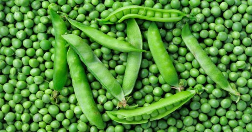 Una fuente vegetal con beneficios que superan lo digestivo