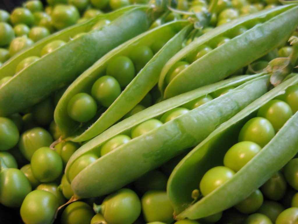 Una versatilidad única para todo tipo de preparaciones