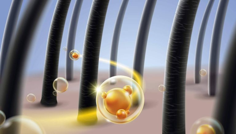 Saw Palmetto y sus productos naturales para el cuidado del cabello