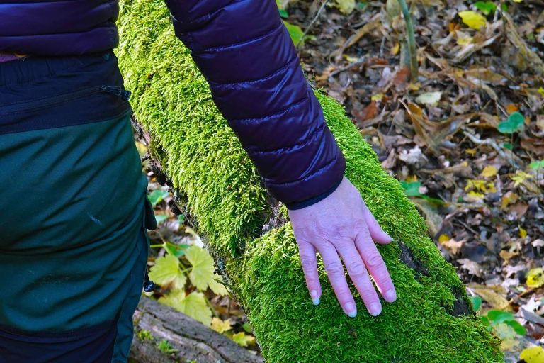 El equipo de Baños del Bosque Madrid, revitalizado