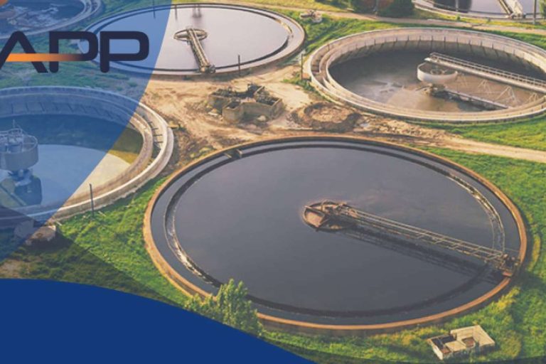 2024 es el año para agilizar las operaciones con el software de SuMApp