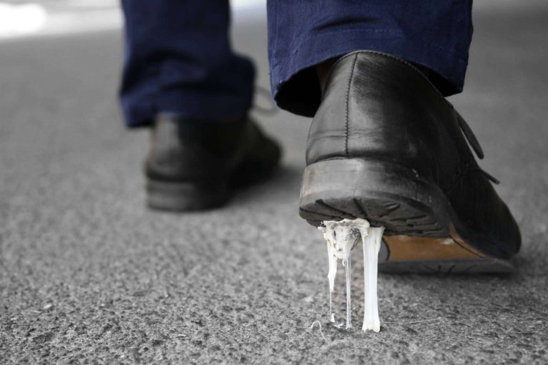 Limpieza de chicles mediante vapor de alta presión, de la mano de Galvañ Lacados