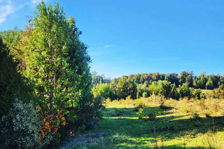 ¿Qué documentos se deben pedir al momento de comprar una parcela? Latitudes Australes lo cuenta en su guía paso a paso