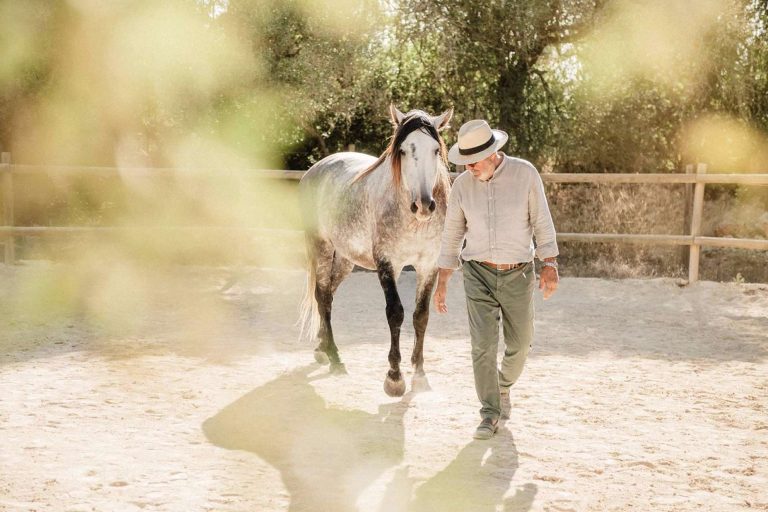 Son Cavalls ofrece coaching asistido con caballos para empresas