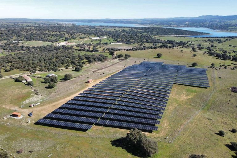 Desafíos y oportunidades en la energía solar; el papel de Artec Capital Energy en el camino hacia un futuro sostenible