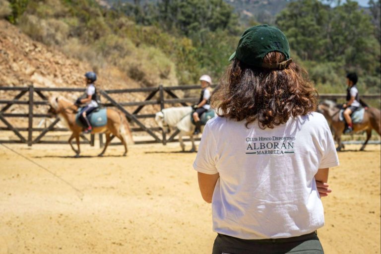 Bachillerato español adaptado a las exigencias universitarias modernas