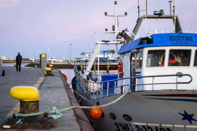 Marisco de Huelva directo a la mesa, en 24 horas y sin intermediarios de la mano de Lonja de Ayamonte