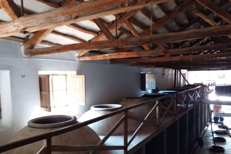 Las ventajas de la producción orgánica y de calidad, de la mano de Bodega Cantos