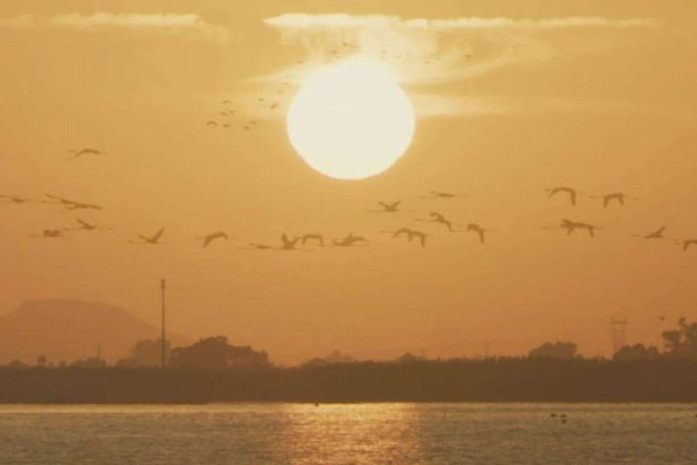 La sal marina de las salinas de Santa Pola cuenta con sello ecológico y es ejemplo de sostenibilidad