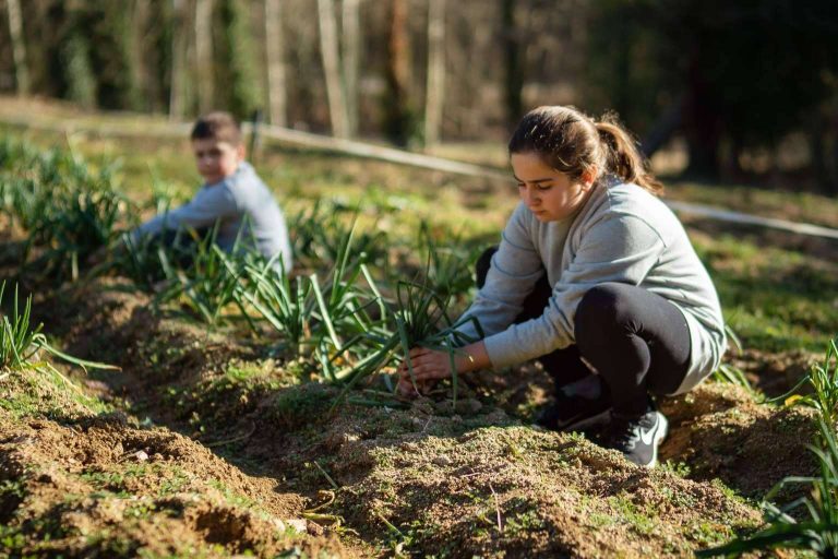 Las familias y escuelas que quieren visitar una granja cerca de Barcelona encuentran en Can Plana una opción ideal
