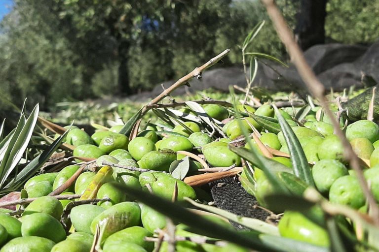 Método 403, el escaparate digital de productores locales gourmet