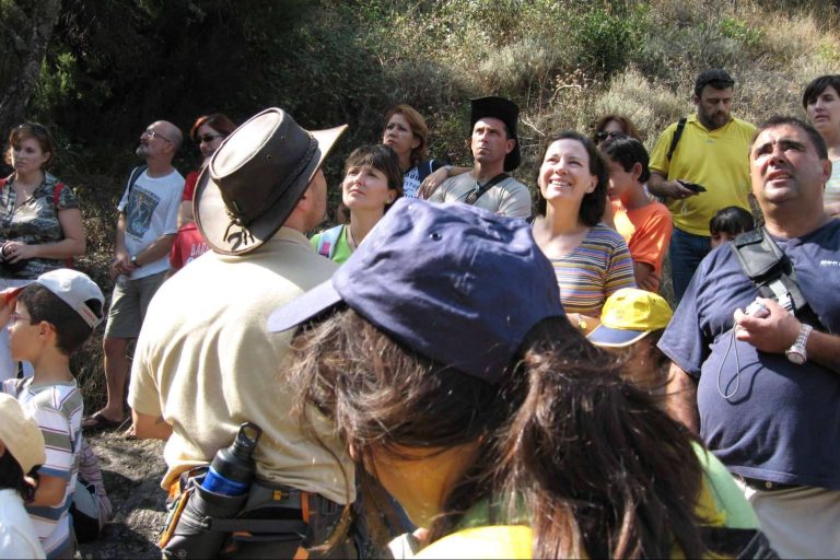 Toledo Visitas, un operador turístico que ofrece una perspectiva diferente