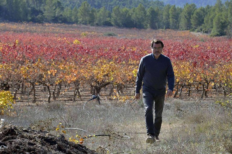 Vinos Vegalfaro, reconocidos y premiados internacionalmente