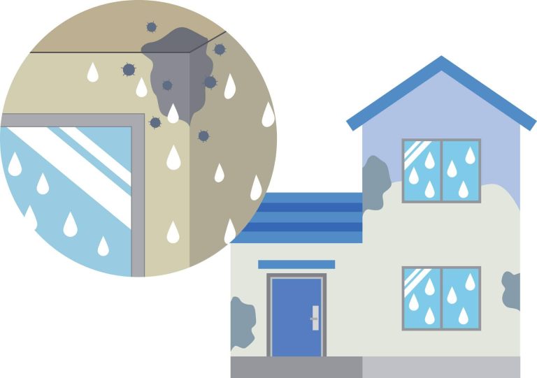 Impermeabilizar terrazas y azoteas para evitar enfermedades y otros problemas