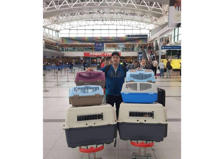 Pet World Travel, una excelente solución en el transporte de mascotas a nivel nacional e internacional