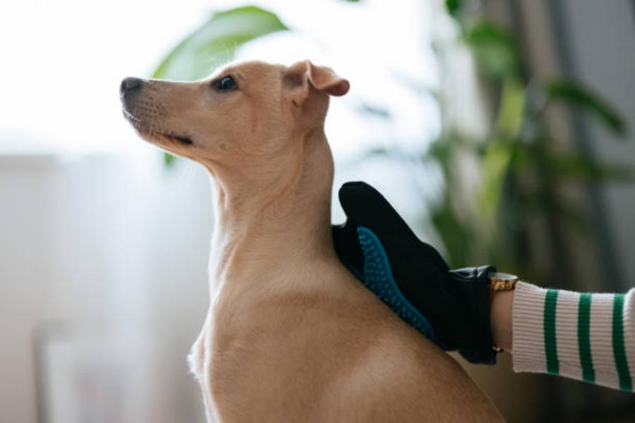 Fácil y cómodo de usar