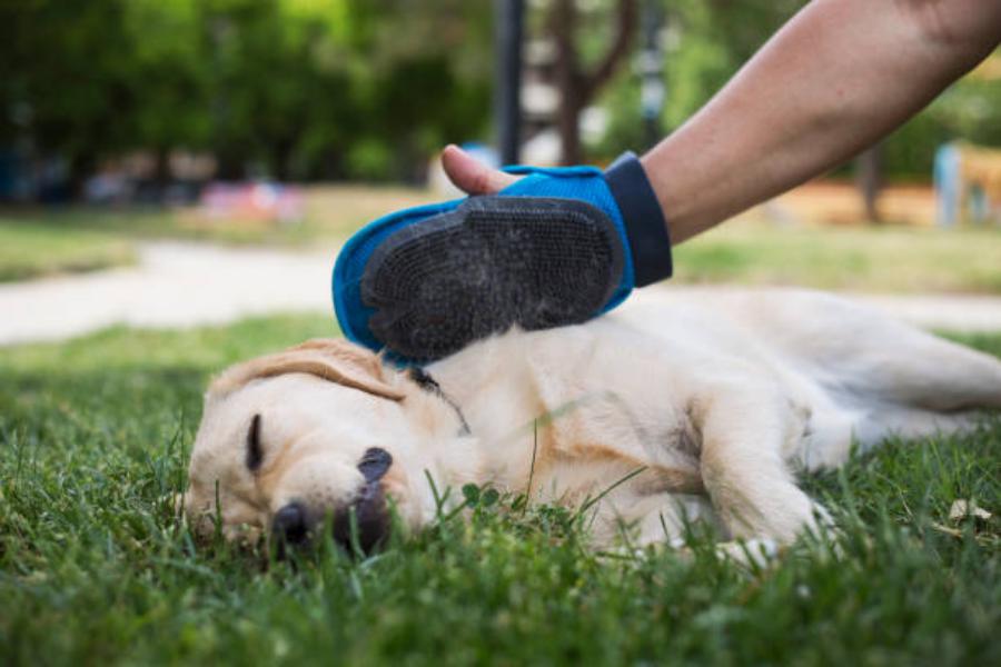 Tallas para adaptarse a todas las manos