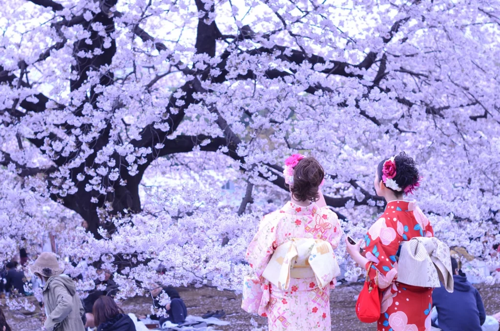 Descubre qué es el Hanami, la tradición japonesa relacionada con los cerezos en flor que puedes hacer en España 27 japan hanami season