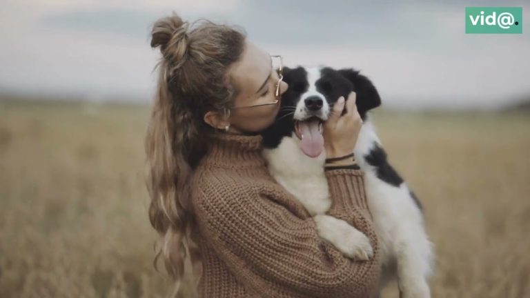 Una veterinaria advierte de lo más grave que se le puede hacer a tu mascota