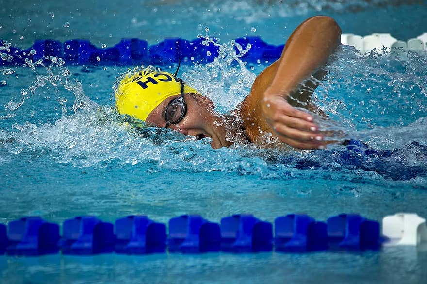 COMPARACIÓN CON OTROS ANIMALES