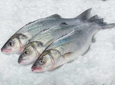 Alternativas seguras: los pescados con menos mercurio Alternativas seguras: los pescados con menos mercurio