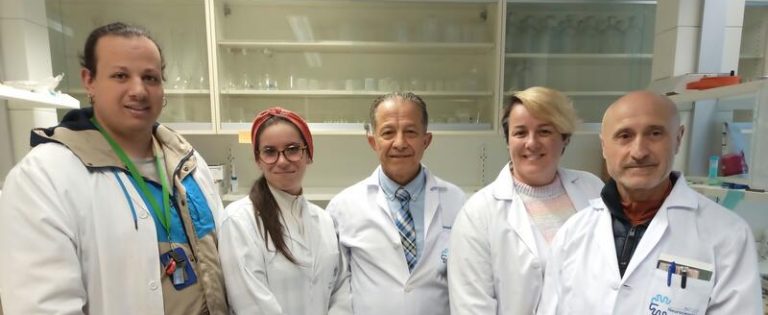 Dos estudios confirman que la melatonina ayuda a prevenir la obesidad