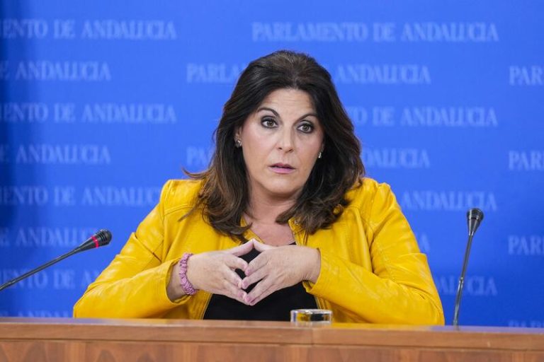 PSOE-A sugiere aplicar para Canal Sur y el Centra medidas de 