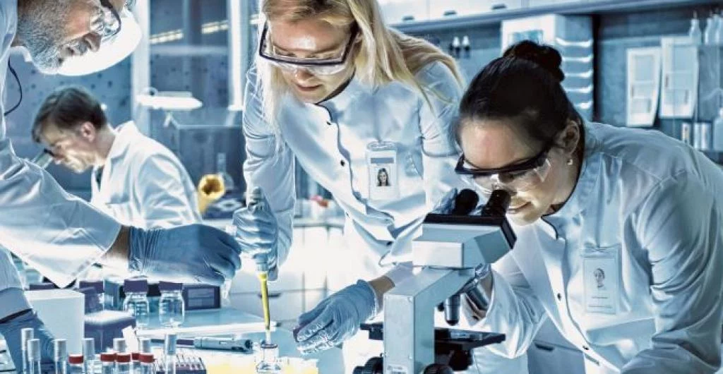 La ciencia revela a qué edad eres oficialmente un adulto mayor: Es antes de lo que piensas 2 ¿Cómo la ciencia llegó a esta certeza en sus estudios?