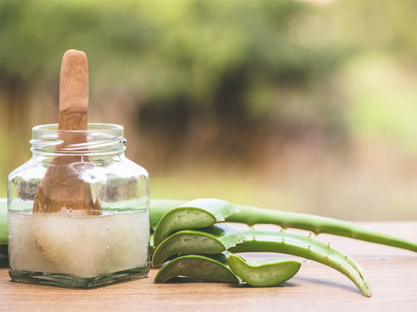 Dos elementos claves en la despensa son ideales para tu piel, ¡Conócelos! 