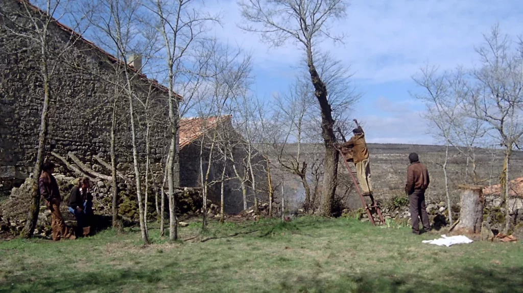 El proyecto de Burgos: Reactivar la vida dentro de Cortiguera 